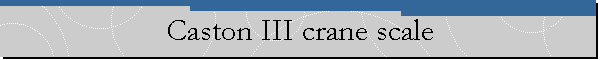 Caston III crane scale