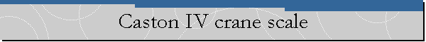 Caston IV crane scale