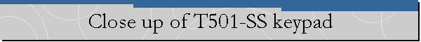 Close up of T501-SS keypad