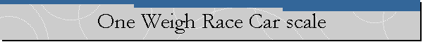One Weigh Race Car scale