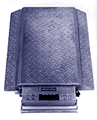 Intercomp PT300DW